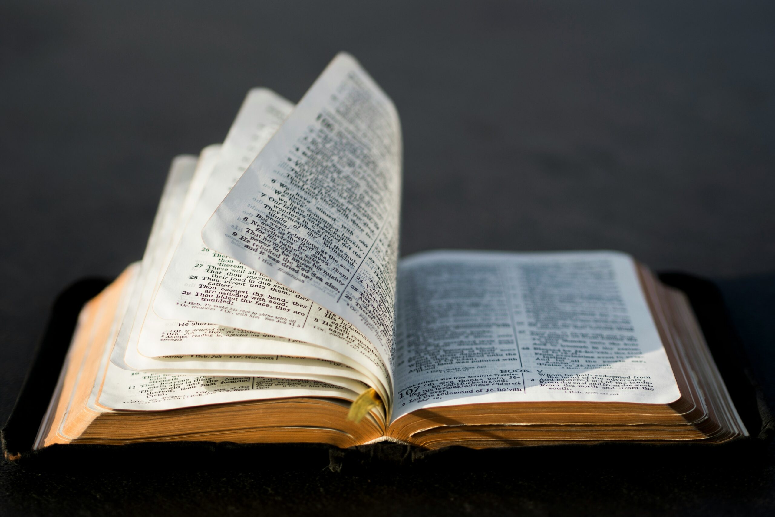 Frauenkleingruppe - Bibel 2025-2 nach hause kommen